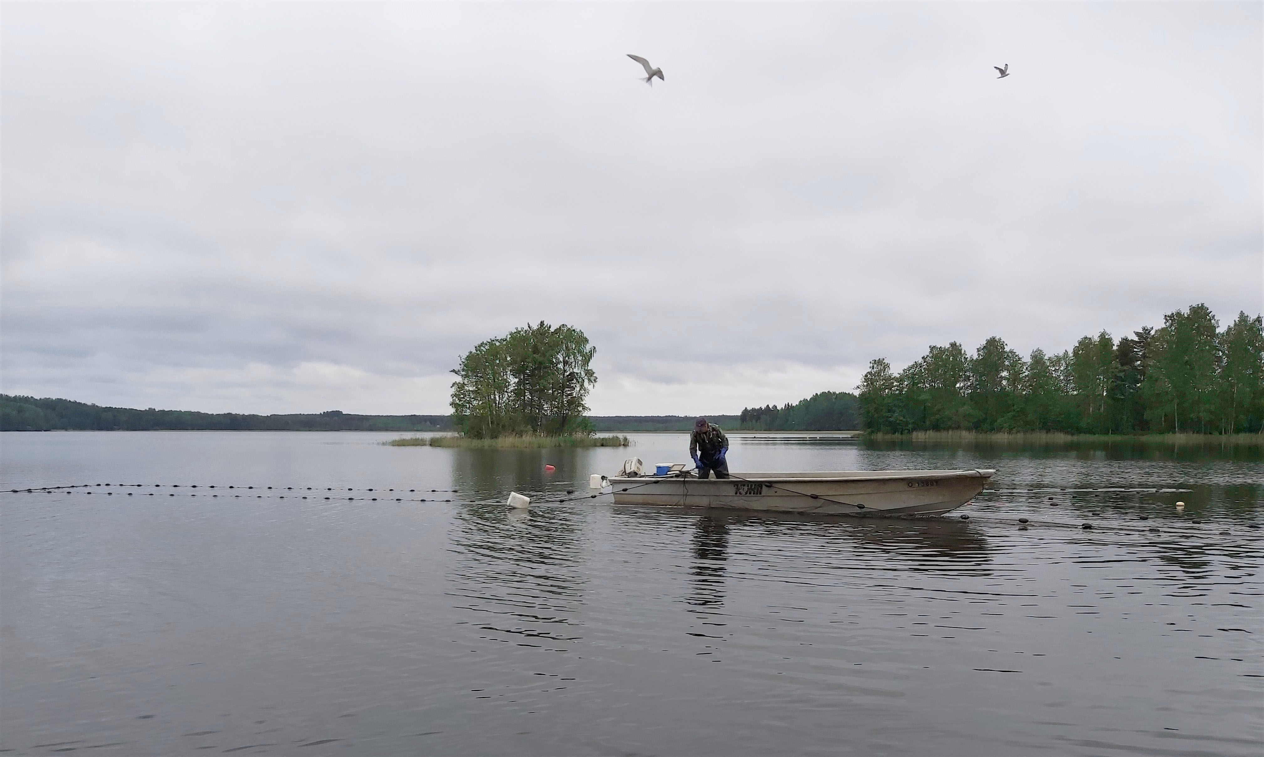 Kalastaja veneessä järvellä